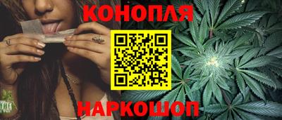 стаф Лесосибирск
