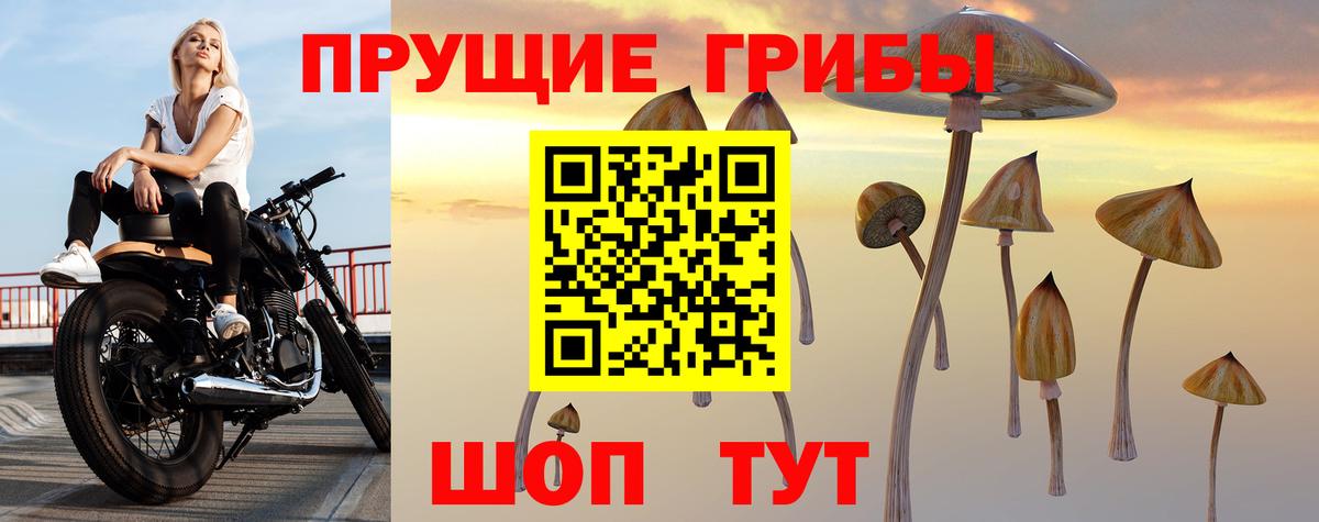 Псилоцибиновые грибы мухоморы  Псилоцибиновые грибы Magic Shrooms  Вход с VPN  Бугульма 